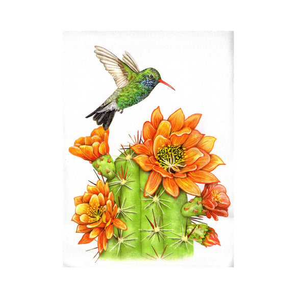 Hummingbird & Flowering Cactus