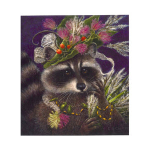 Raccoon In the Evening by Carolyn Schmitz