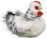 Salty Black & White Hen