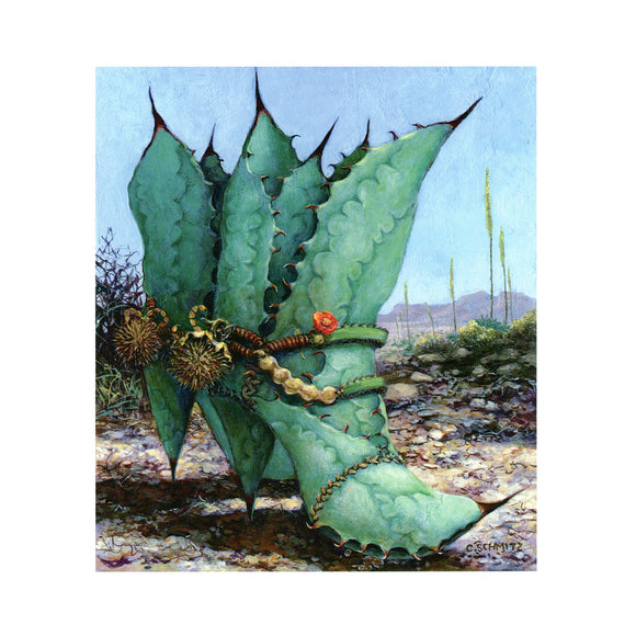 Agave Country by Carolyn Schmitz