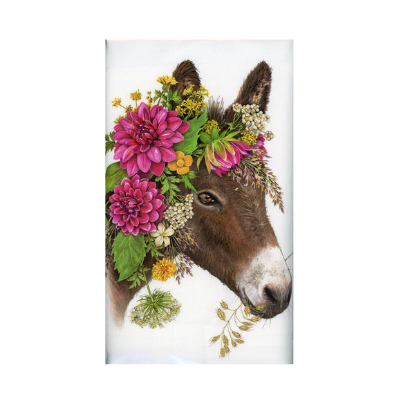 Donkey Dahlia