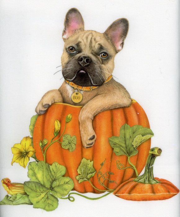 Frenchie in Pumpkin